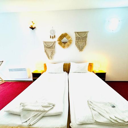 Zen Eco Villa Сфынту-Георге Экстерьер фото