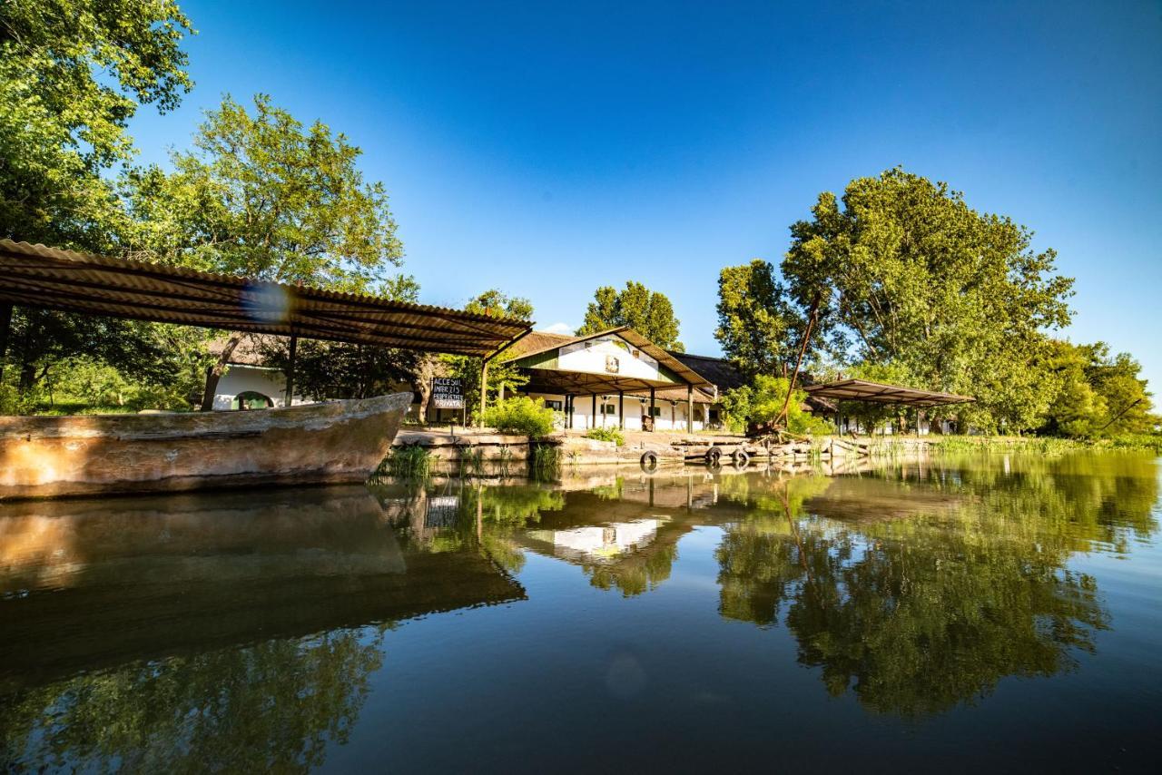 Zen Eco Villa Сфынту-Георге Экстерьер фото