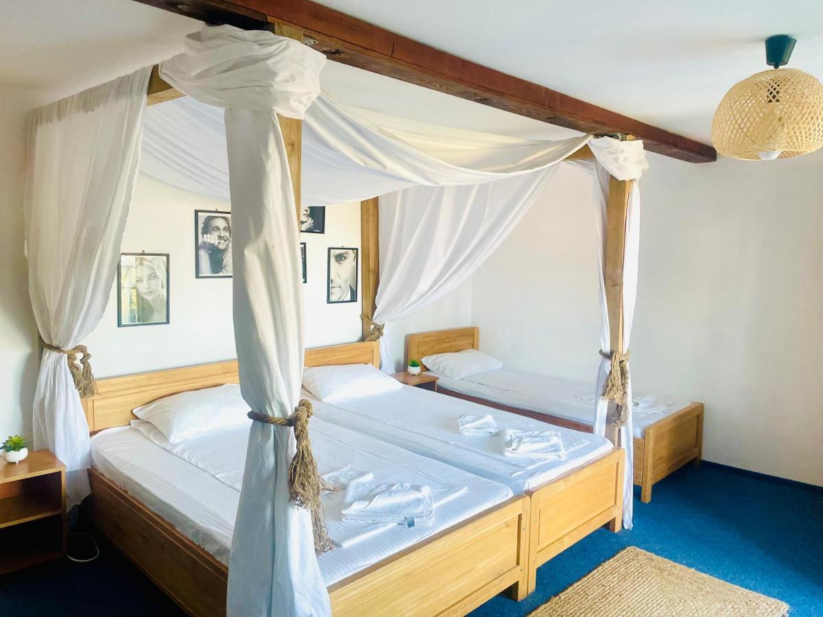 Zen Eco Villa Сфынту-Георге Экстерьер фото